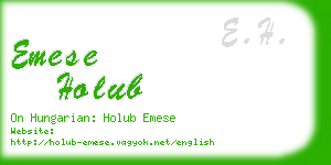 emese holub business card